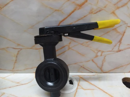 Ci Butterfly Valve 40 Mm